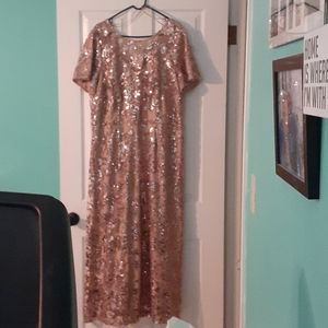 Blush gown with rose gold sequins.size 20w
